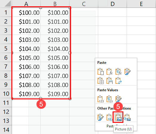 Pasting as picture to solve Excel cannot paste the data