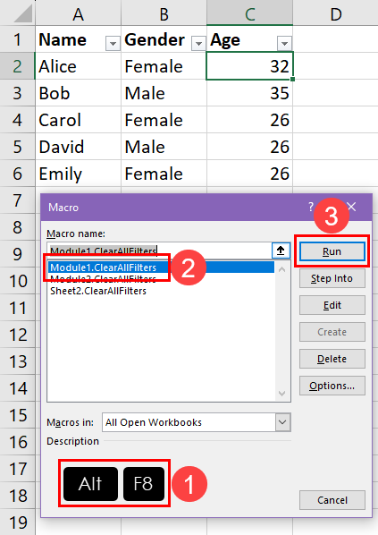 Running a VBA script