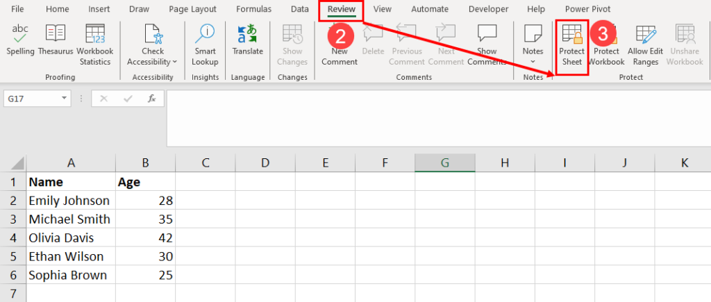 Protect Sheet in Review tab