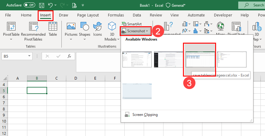 Click the screenshot tool on Excel