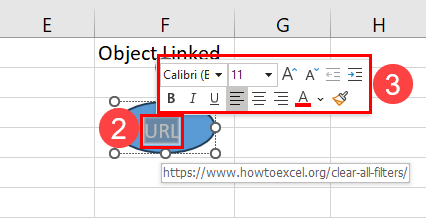 Text editing option in a hyperlinked object