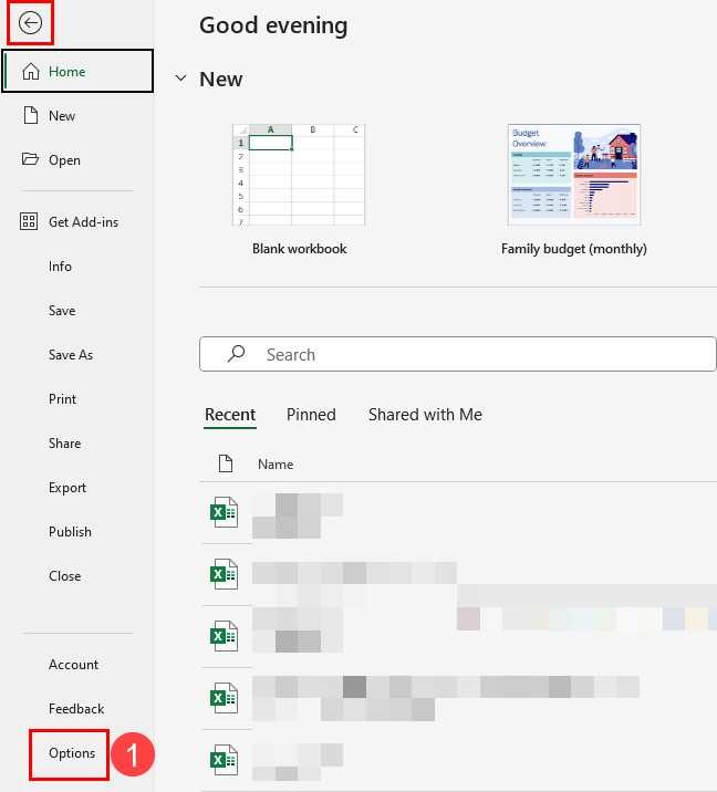 File Options navigation