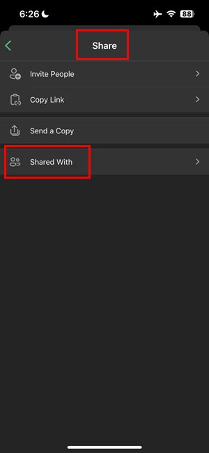 Workbook Share menu