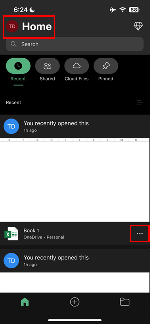iOS Excel app Home