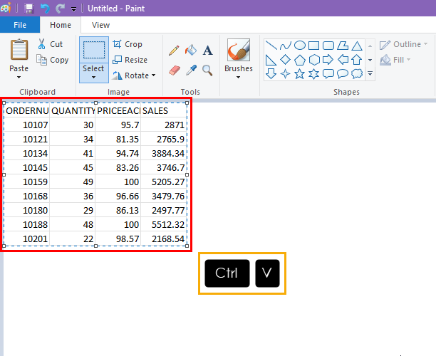 Pasting copied cell range on Paint