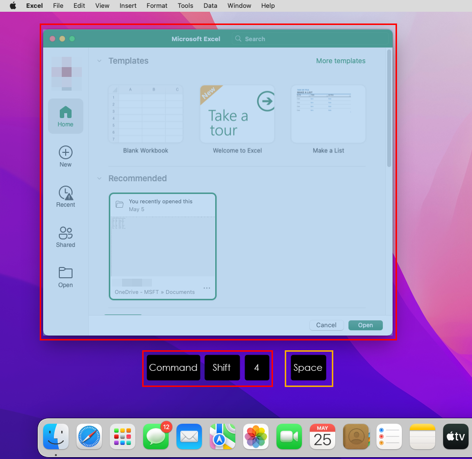 Using window screen shot in MacOS