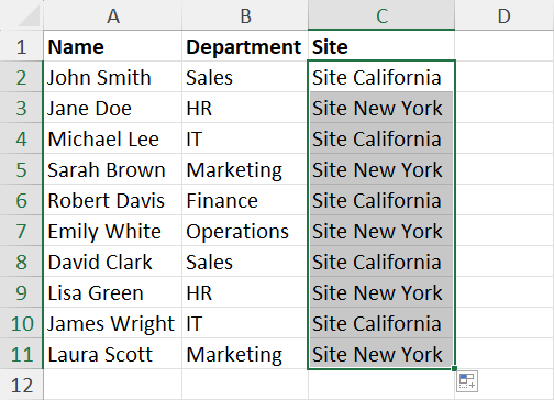 Replaced words in Excel with Flash Fill