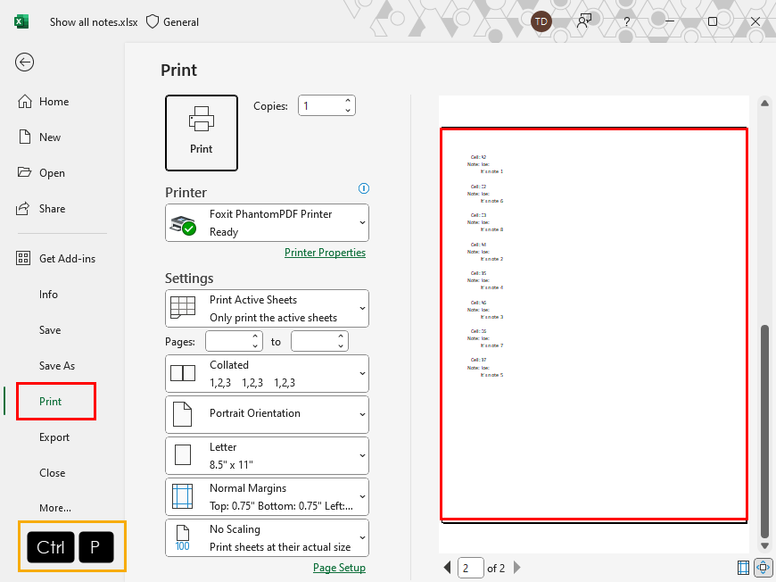 Print Preview notes