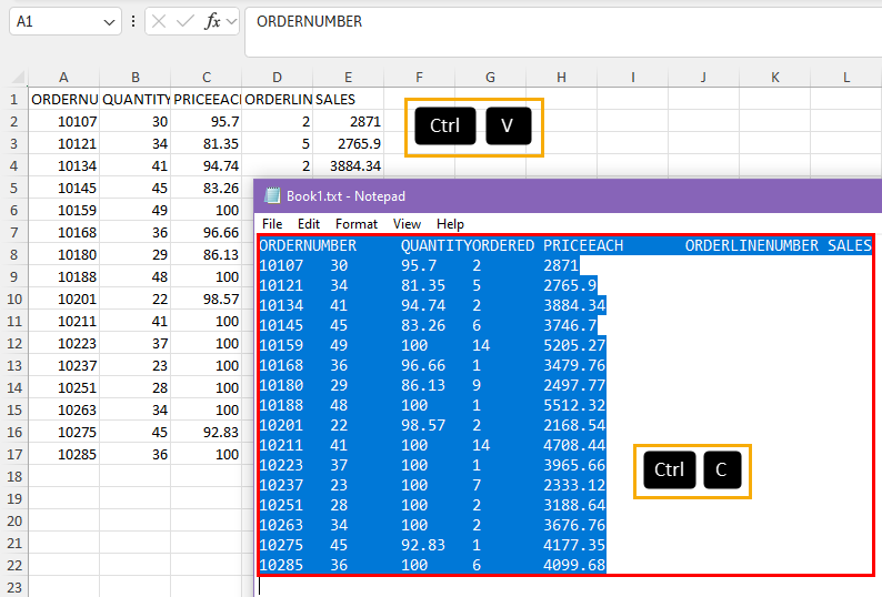 Copy and Paste to import TXT in Excel