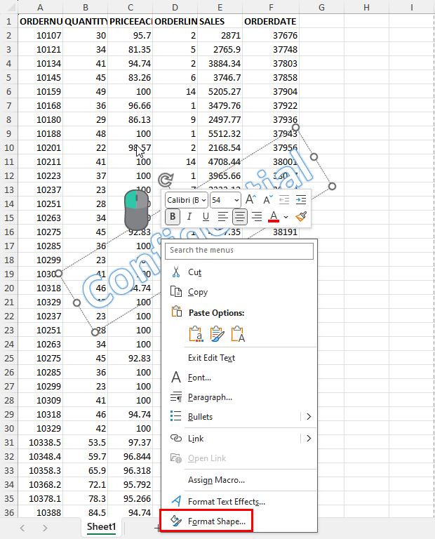 Format Shape option