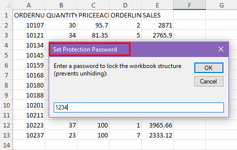 Set a protection password